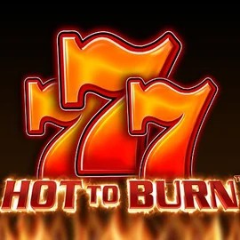 Hot To Burn by Pragmatic Play, showcased at betalicecasino.org – game logo